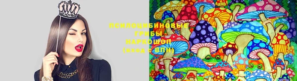 кокс Алзамай