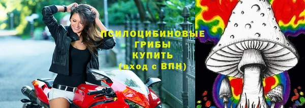 марки lsd Абаза