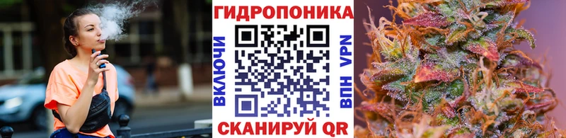 Канабис план  Чебаркуль 